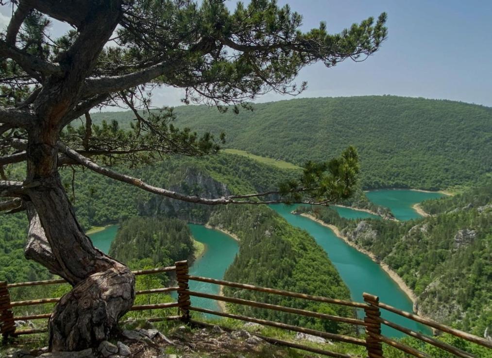 Mountain Soul Rest Villa Žabljak Exteriör bild