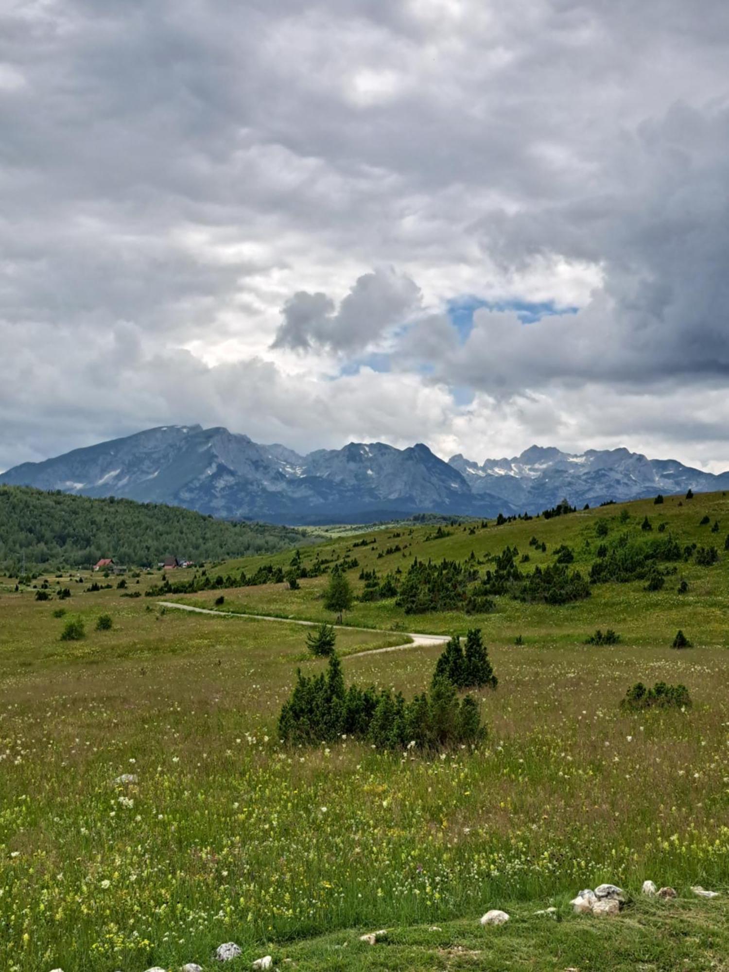 Mountain Soul Rest Villa Žabljak Exteriör bild